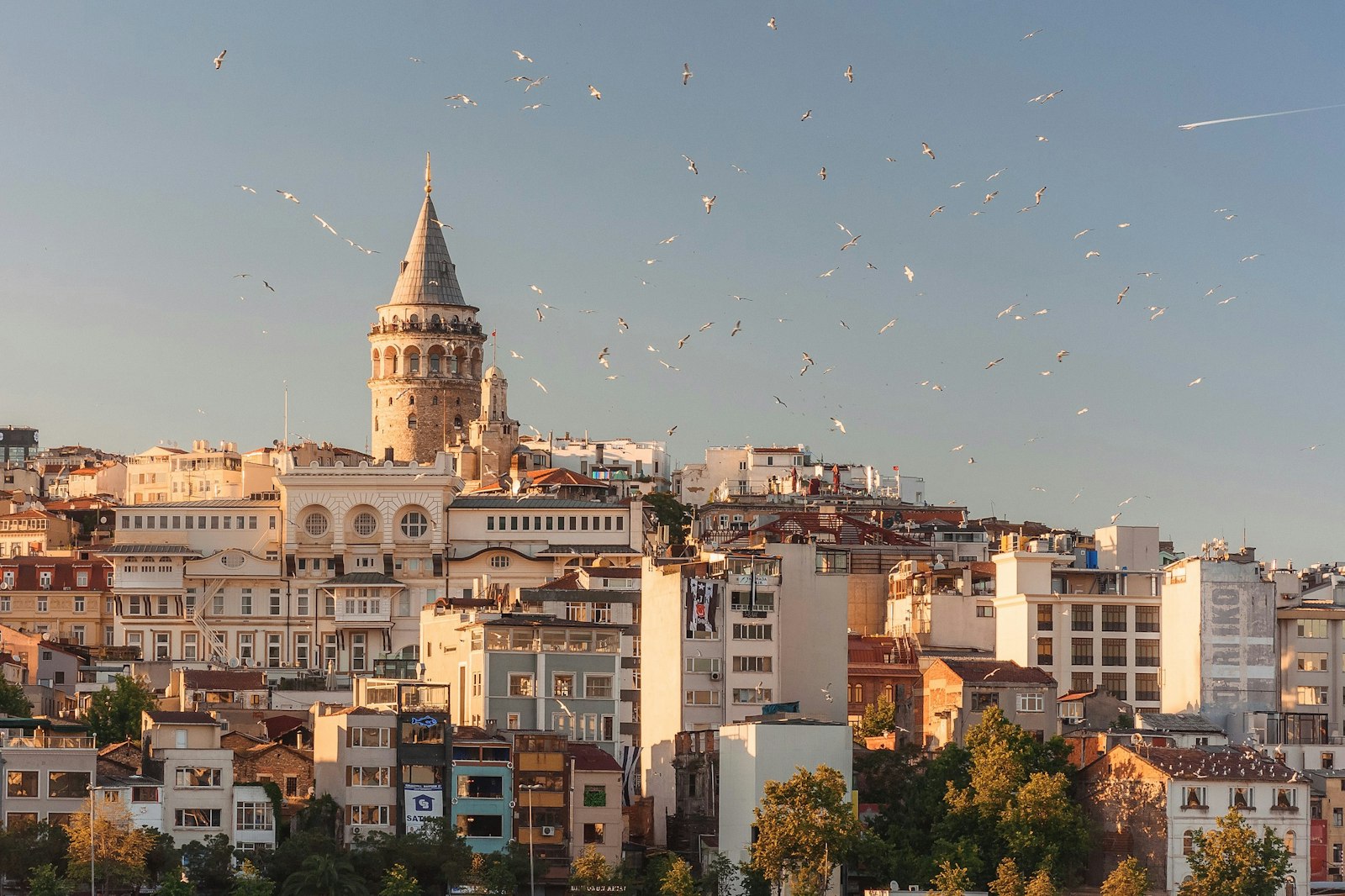 ویزای تک ترکیه (Türkiye Tech Visa)؛ راهنمای کامل مهاجرت متخصصان فناوری